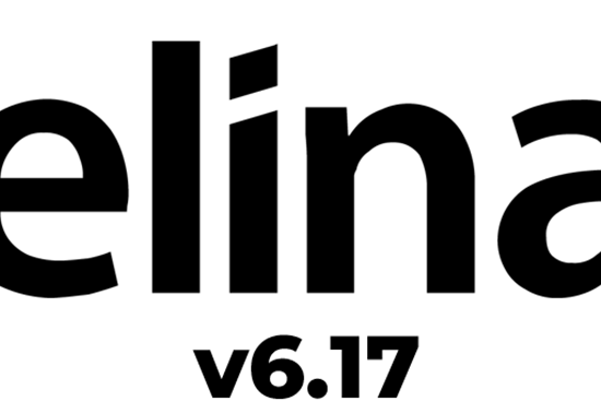 elina v6.17 Release notes